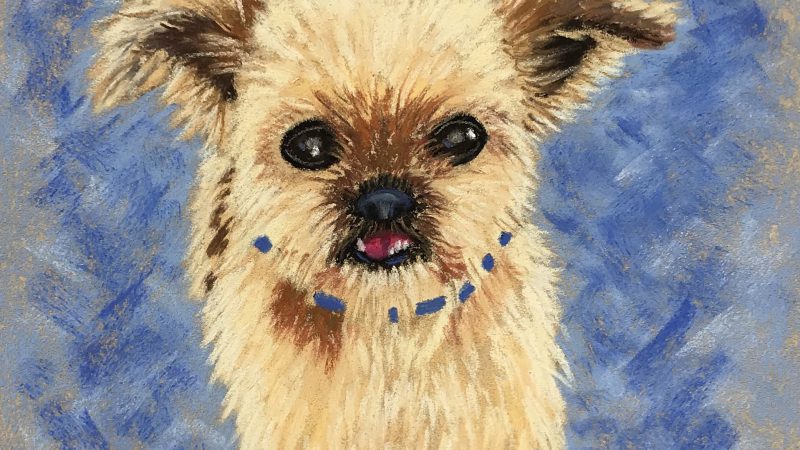 Pastel painting of a small fluffy dog.