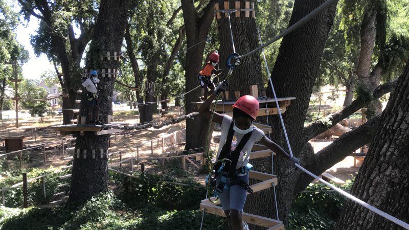 Two children in helmets and harnesses cross a wooden bridge amidst tall trees.