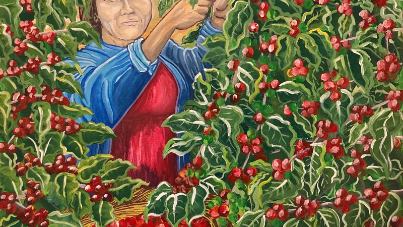 A painting of a woman with brown hair dressed in red and blue picking coffee beans from a coffee plant.