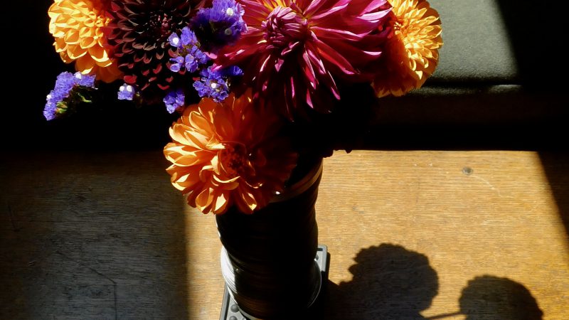 Sunlight hits a vase of colorful flowers sitting on a table.