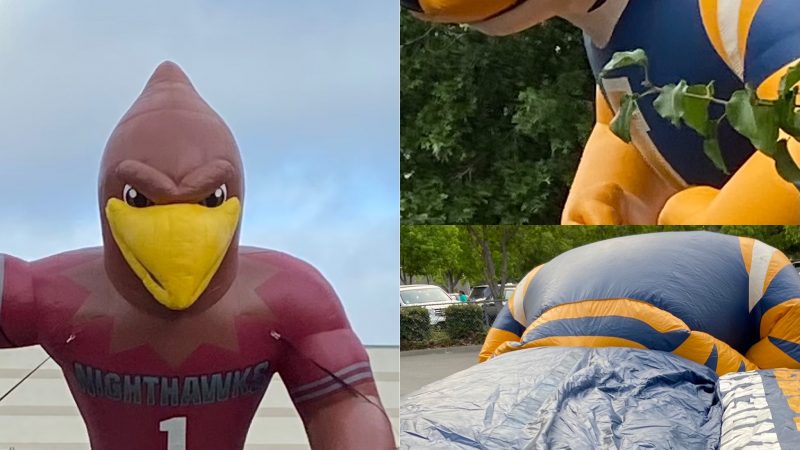 A photograph of a large inflatable cardinal dressed in a football uniform and two photos of a large inflatable tiger dressed in a football uniform.