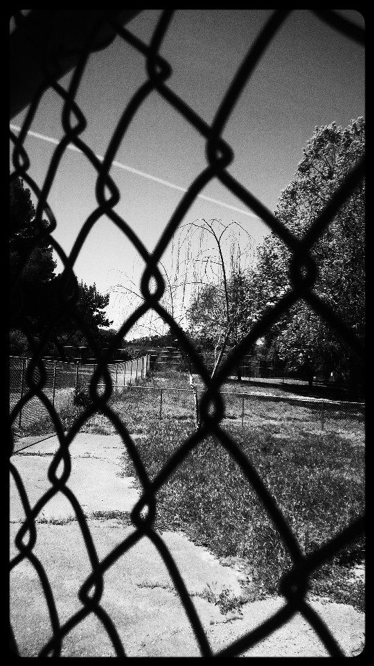 A black and white photograph of an empty park as seen through a chain-link fence.