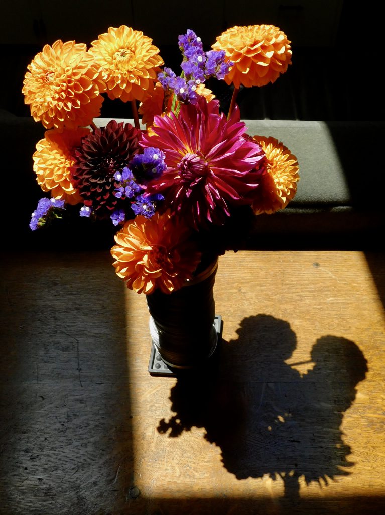 Sunlight hits a vase of colorful flowers sitting on a table.