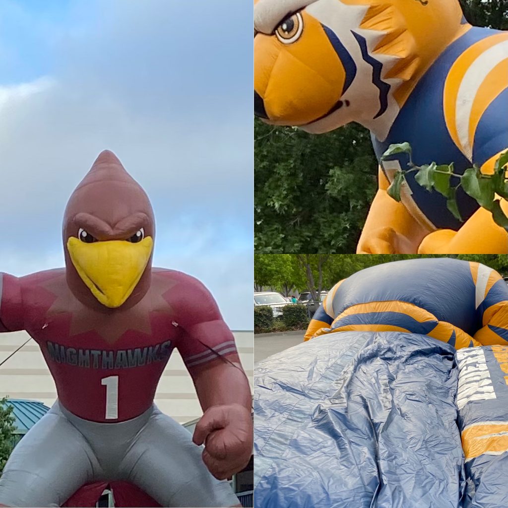 A photograph of a large inflatable cardinal dressed in a football uniform and two photos of a large inflatable tiger dressed in a football uniform.